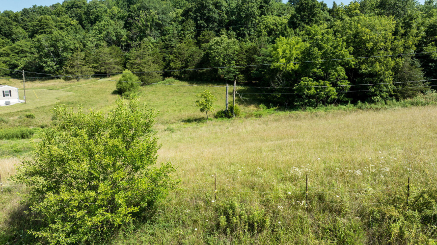 Listing Image 69
