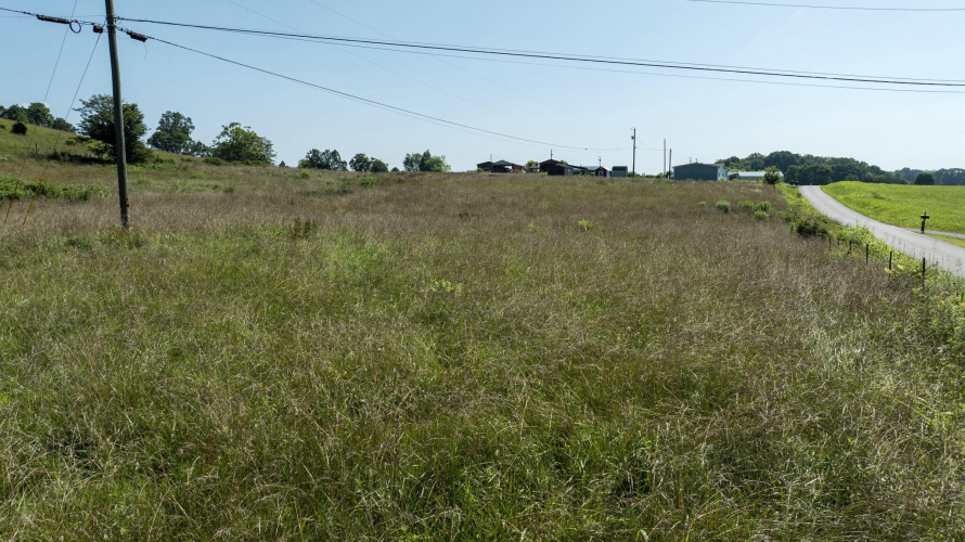 Listing Image 71