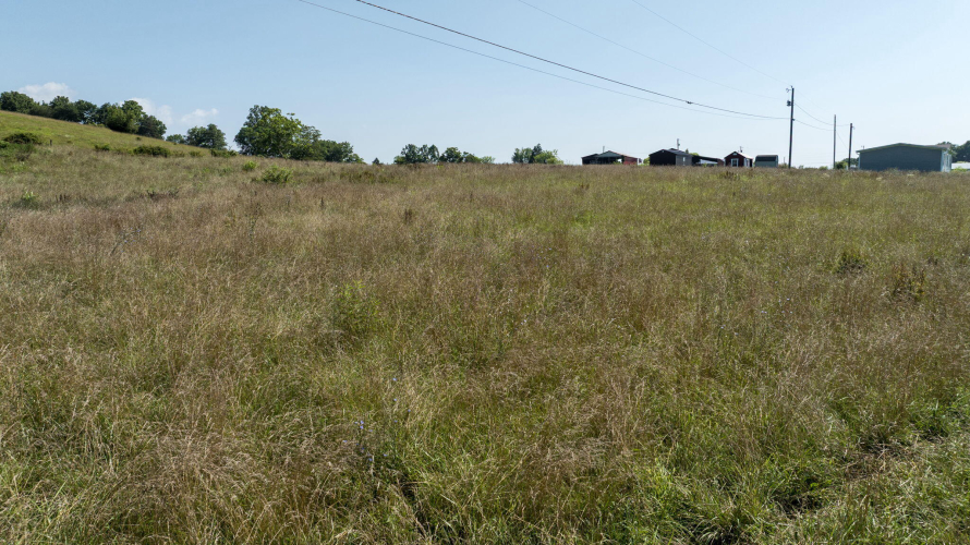 Listing Image 72
