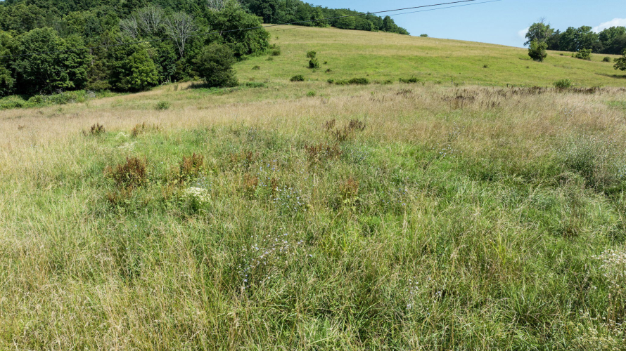Listing Image 73