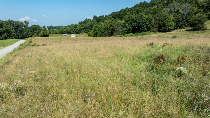 Listing Image 74