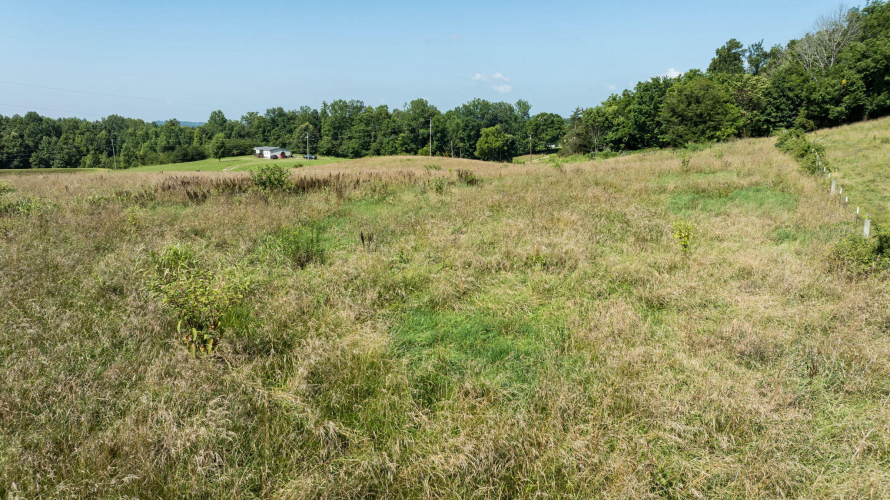 Listing Image 75