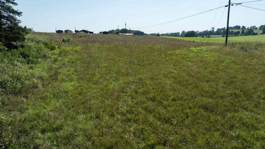 Listing Image 76
