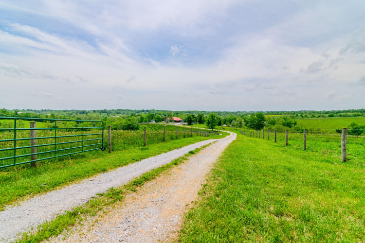 Listing Image 53