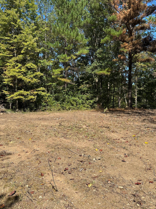 Listing Image 24