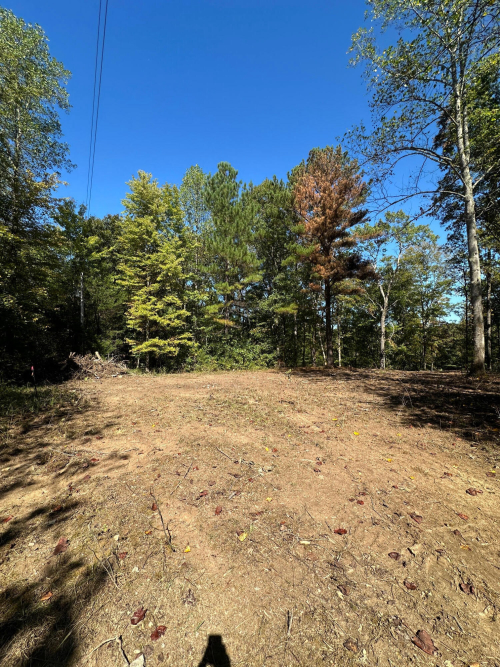 Listing Image 26