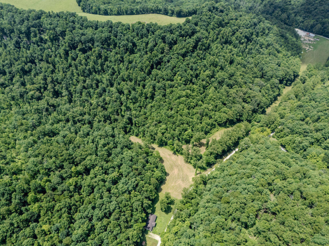 Listing Image 8