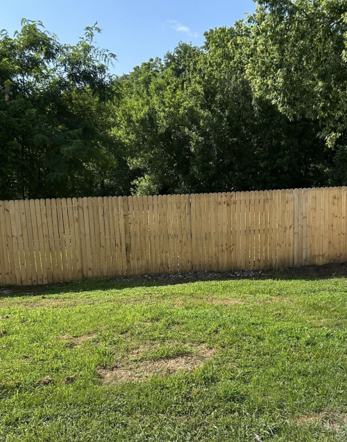 Listing Image 20