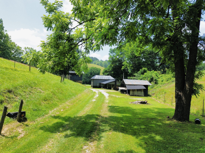 Listing Image 11