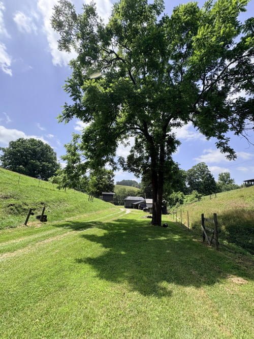 Listing Image 72