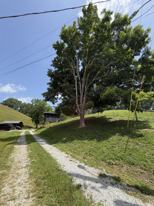 Listing Image 74