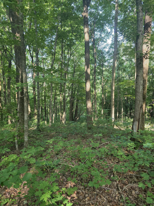 Listing Image 17