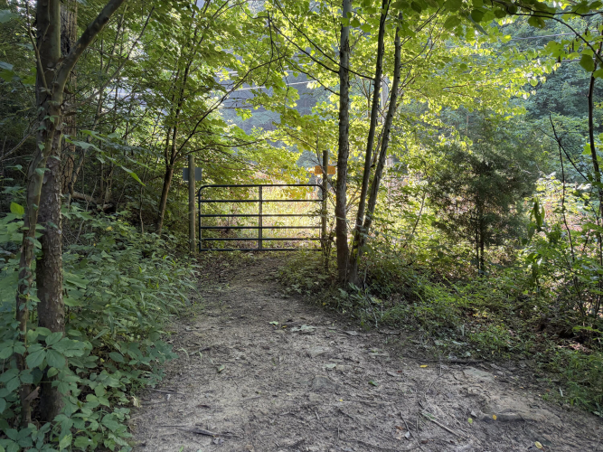 Listing Image 18