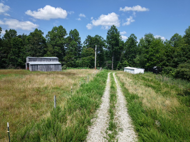 Listing Image 31