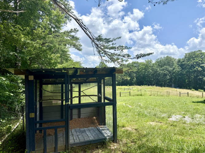 Listing Image 39