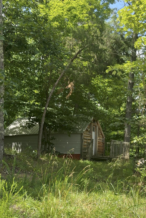 Listing Image 50