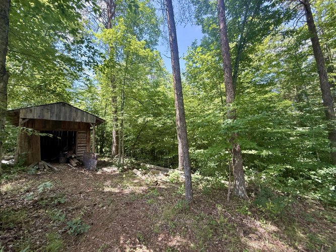 Listing Image 51