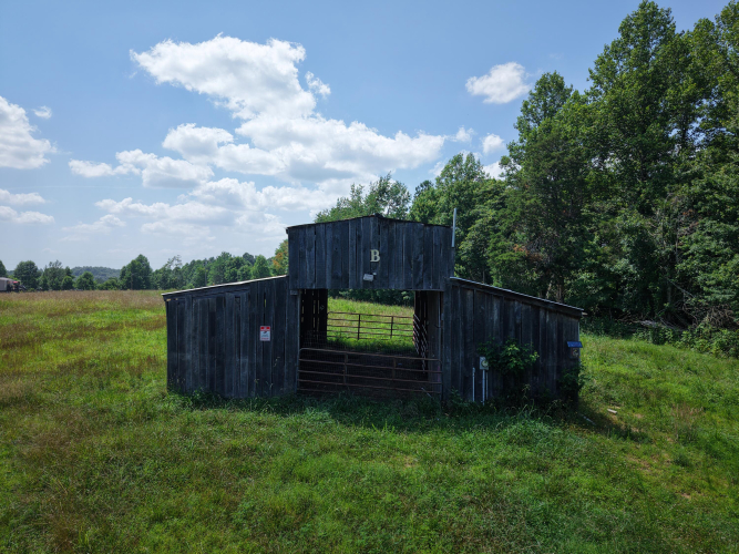 Listing Image 61