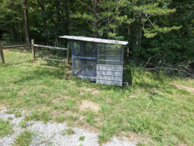 Listing Image 77