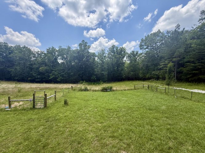Listing Image 79