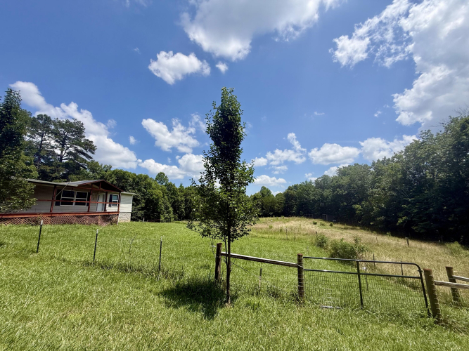 Listing Image 82