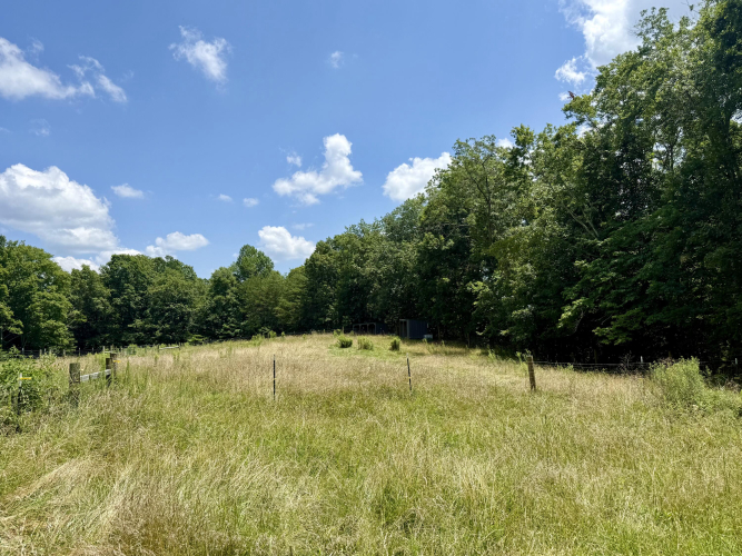 Listing Image 83