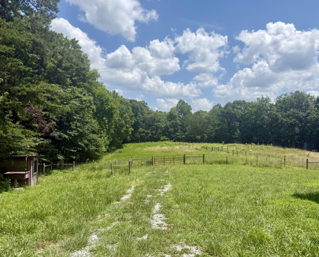 Listing Image 85