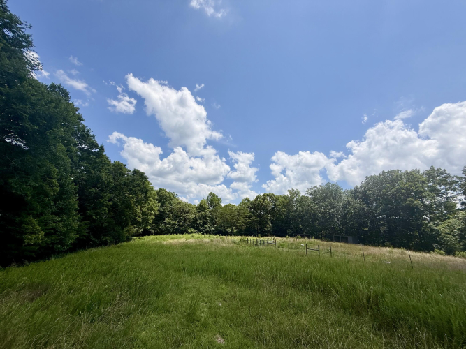 Listing Image 88