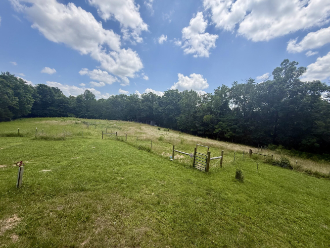 Listing Image 96