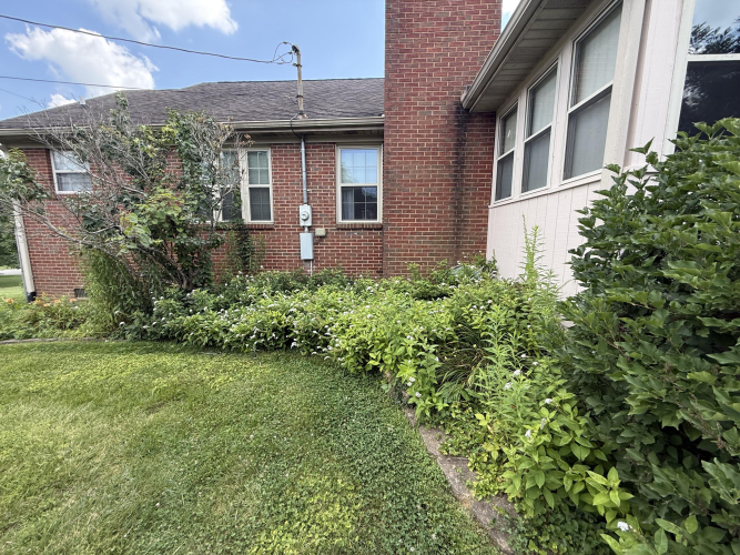 Listing Image 28