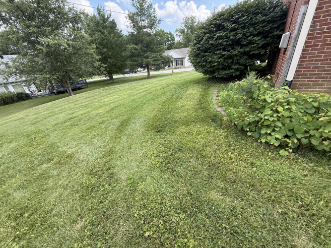 Listing Image 29