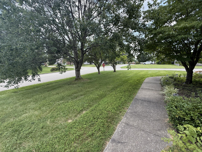 Listing Image 30