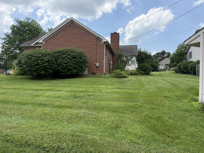 Listing Image 33