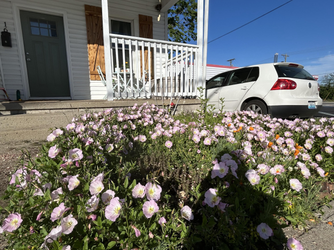 Listing Image 5