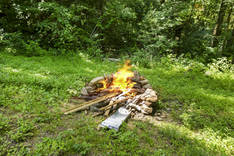 Listing Image 17