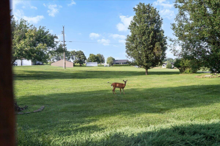 Listing Image 54