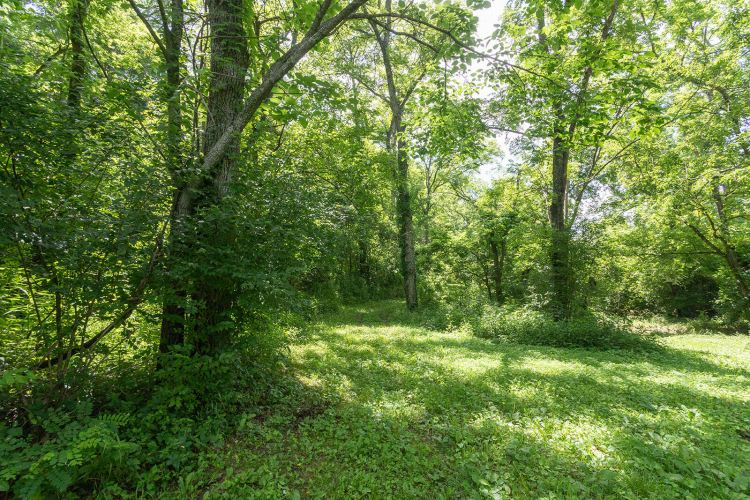 Listing Image 101
