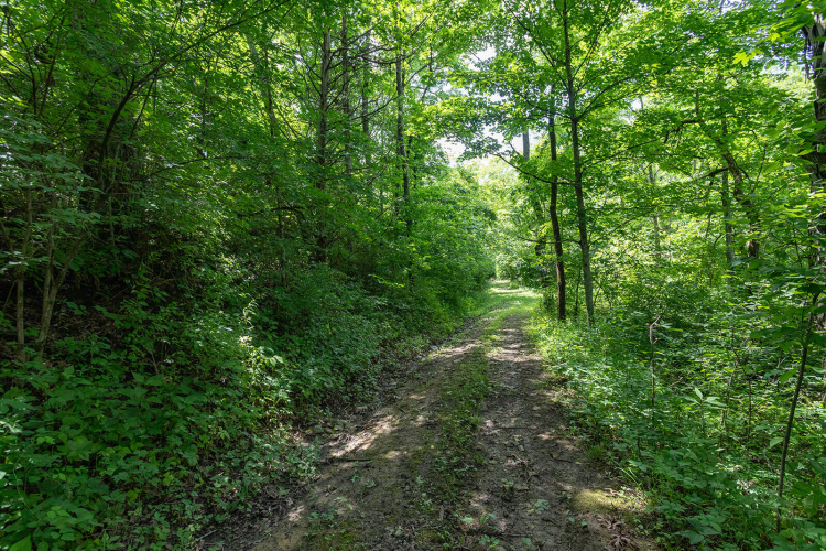 Listing Image 102