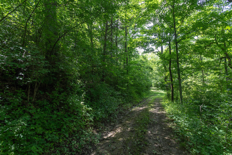 Listing Image 103