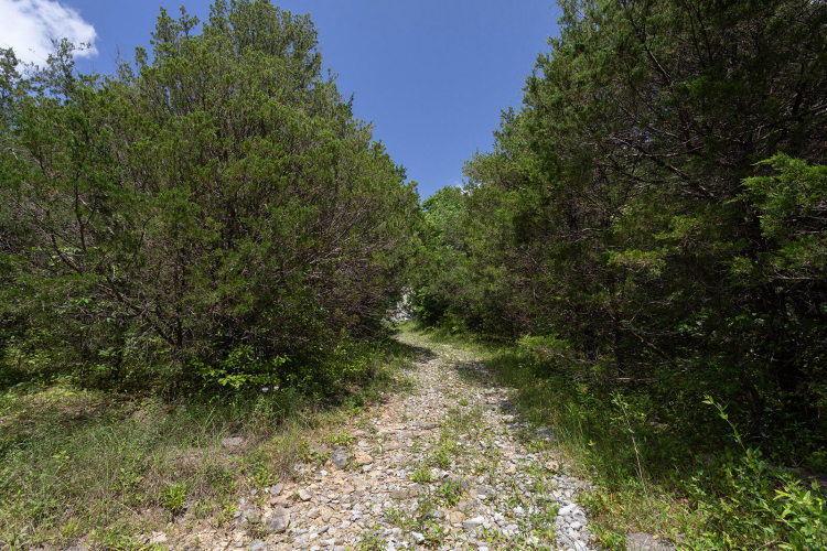 Listing Image 104