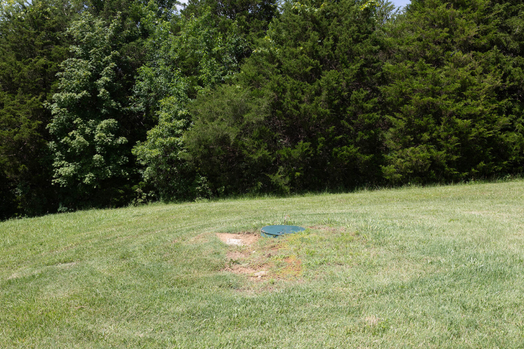 Listing Image 107