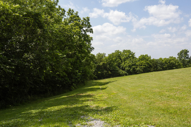 Listing Image 112
