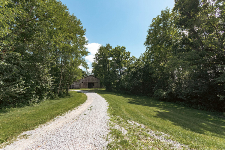 Listing Image 113