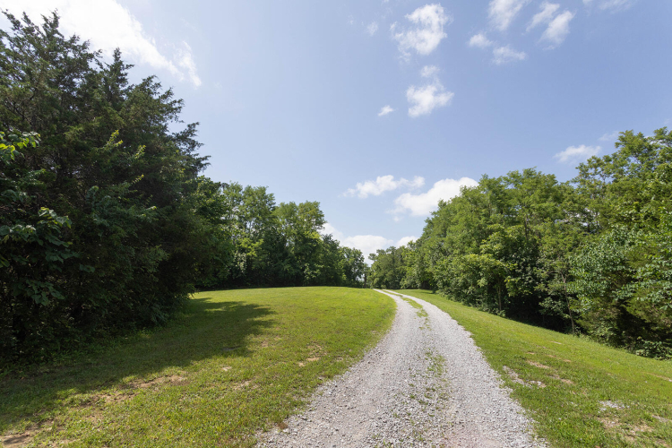 Listing Image 124