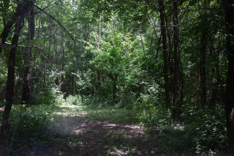 Listing Image 45