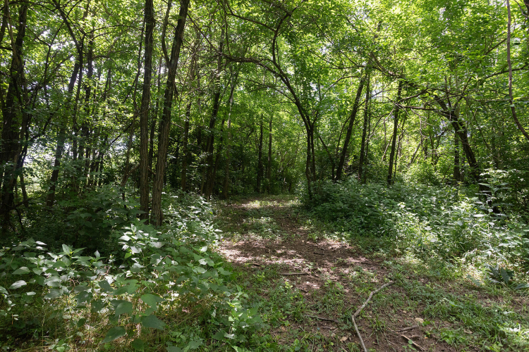 Listing Image 47