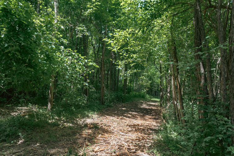 Listing Image 48