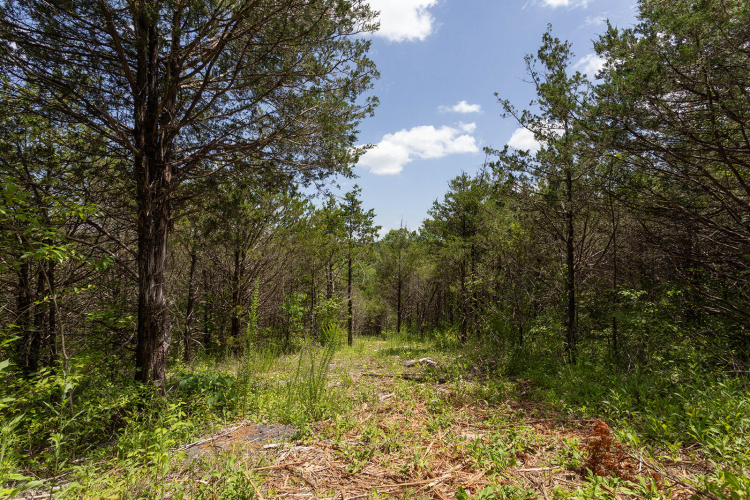 Listing Image 49