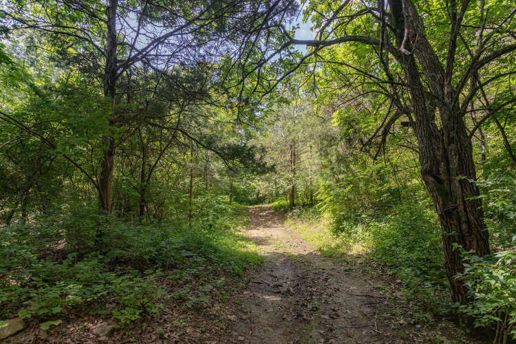 Listing Image 55