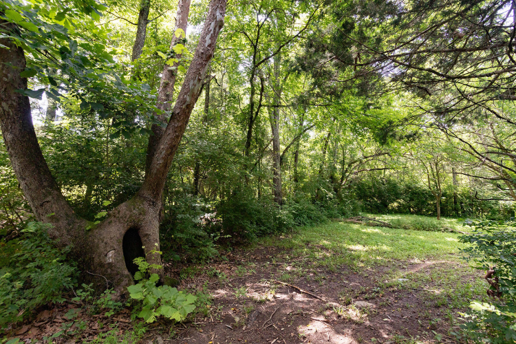 Listing Image 56